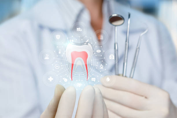 Trusted Vega, TX Holistic Dental Care Services Experts